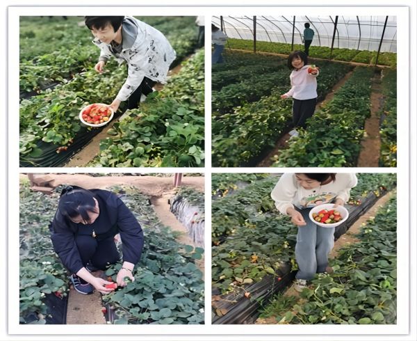 6381386667867187925518104.jpg 6381386667867187925518104.jpg